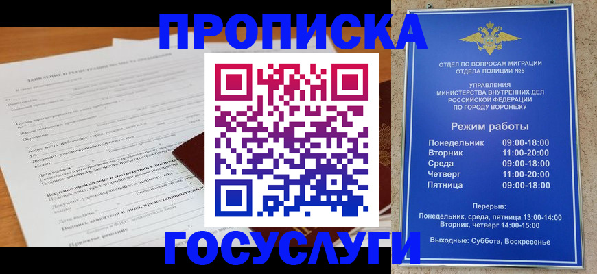 прописка штамп в Новгородской области